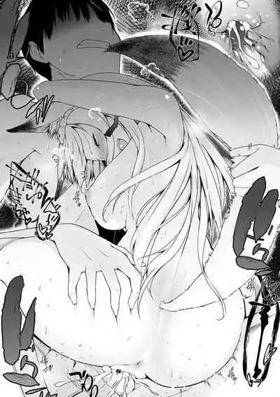 Houshi Shuzoku ga Yattekita!