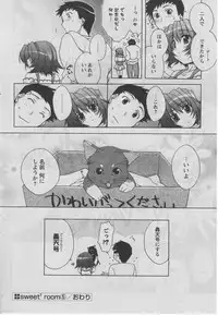 Comic Papipo 2005-07