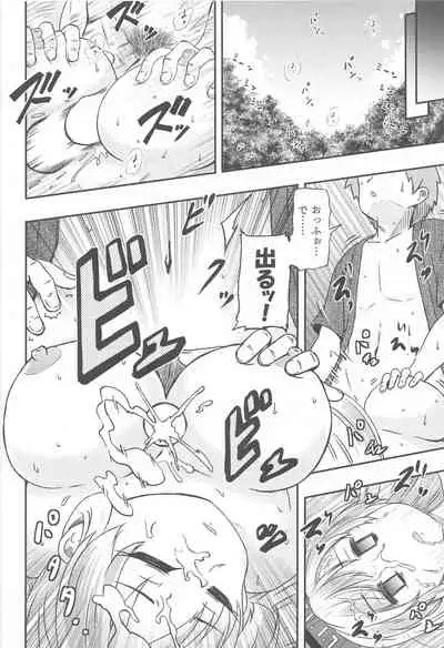 (Meikasai 15) [Public Punishment (Coaster)] Shirasawa no Seseragi Re (Touhou Project)