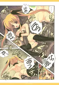 [Rothmans Workstation (Roshuu Takehiro)] LUCE DORATA (Mahou Shoujo Lyrical Nanoha) [Digital]