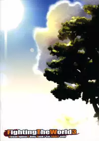 (C75) [ReDrop (Miyamoto Smoke, otsumami)] Fighting The World 3 (Street Fighter)