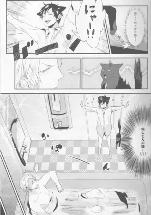 Cat&Chocolate - Durarara doujinshi Japanese