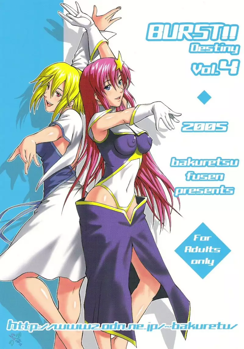 Gundam Seed Destiny Burst 4-2