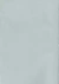 [Rabbit Company (Kotogi Raura)] Stale World V (Magic Knight Rayearth)