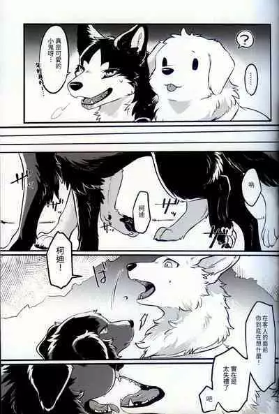 Hakoniwa Jealousy | 箱庭之妒