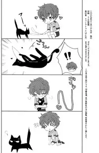 (C77) [Reflection (Panta)] Friends (CODE GEASS: Lelouch of the Rebellion)