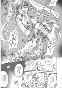 [TERRA DRIVE (Teira)] SOLID STATE 6.5 (Martian Successor Nadesico)