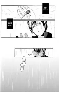 (C78) [WORLD BOX, Bon's (Yuu, Sumeragi Sora)] 2-nen to 8-kagetsu no Kiseki | A Journey of 2 Years and 8 Months (Durarara!!) [English] [ebil_trio]