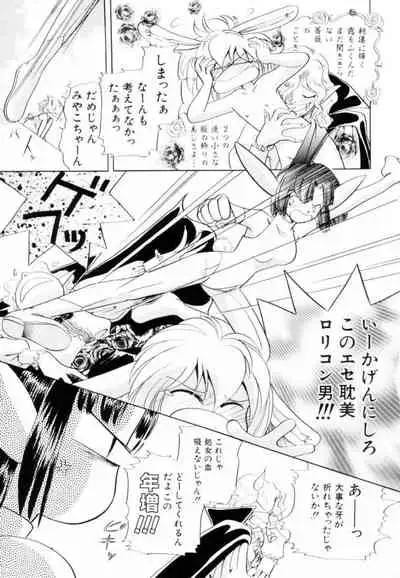 [Hikaru Nagareboshi] Seigi No Mikata Mo Raku Zya Nai