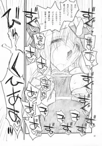 (C73) [Akai Marlboro (Aka Marl)] Fate-san Mae kara Ushiro kara (Mahou Shoujo Lyrical Nanoha)