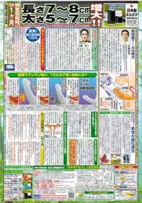 Monthly Vitaman 2009-10