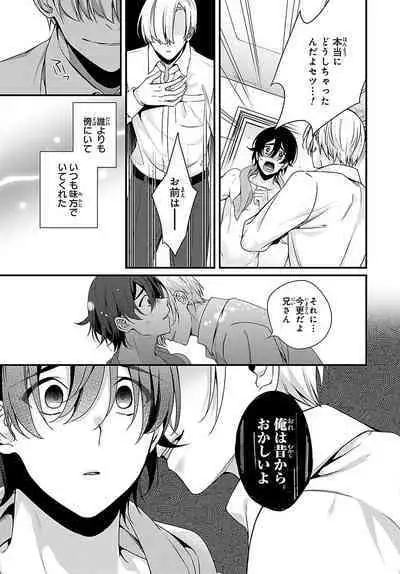 Ani o Yome ni Metorimasu ～ Kondo wa Tebanasanai ～ R18 Edition Vol. 1-4