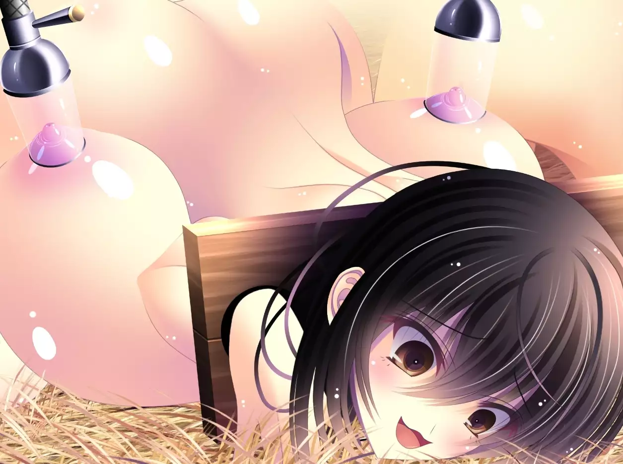 yabure, bakunyu chochichi naedoko ni, benki ni Daraku To sa reru hiroin!~ Hime ￮ setsuna ~