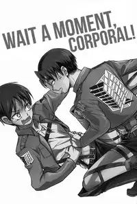 (FALL OF WALL2) [Sonic (PANA)] Chottomatte Heichou!! | Wait A Moment, Corporal! (Shingeki no Kyojin) [English] [OrangeRei]