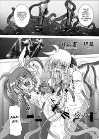 [Kurodama-ya (Akadama)] Kurenai no Syo -Fate hen- | The Crimson Book ~Fate side~ (Mahou Shoujo Lyrical Nanoha) [English] [desudesu]