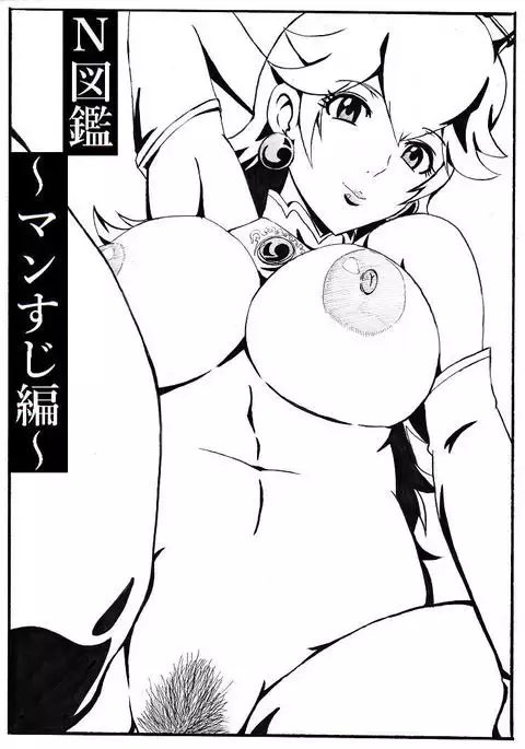 N Zukan ~Mansuji Hen~