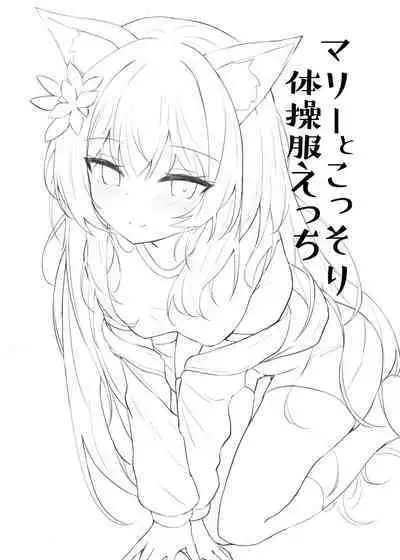 Mari to Kossori Taisoufuku Ecchi | 和玛丽的秘密体操服H