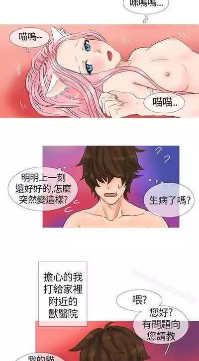 小野貓馴服手冊