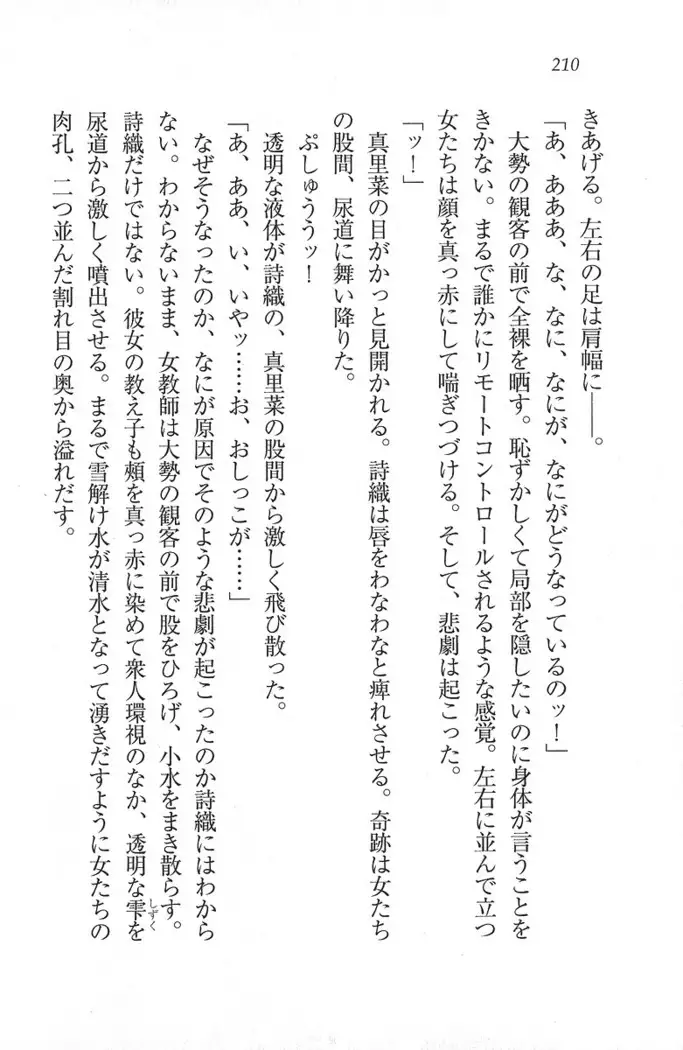 解放区～痴漢ハーレム