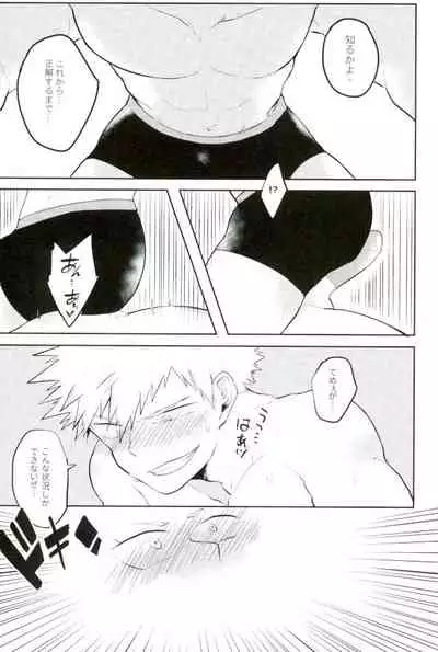 Thorndike no Kouka no Housoku