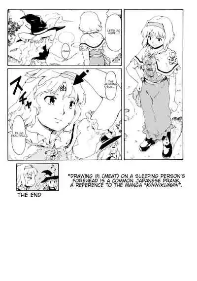 (CT17) [PARANOIA CAT (Fujiwara Shunichi)] Touhou Ukiyo Emaki 